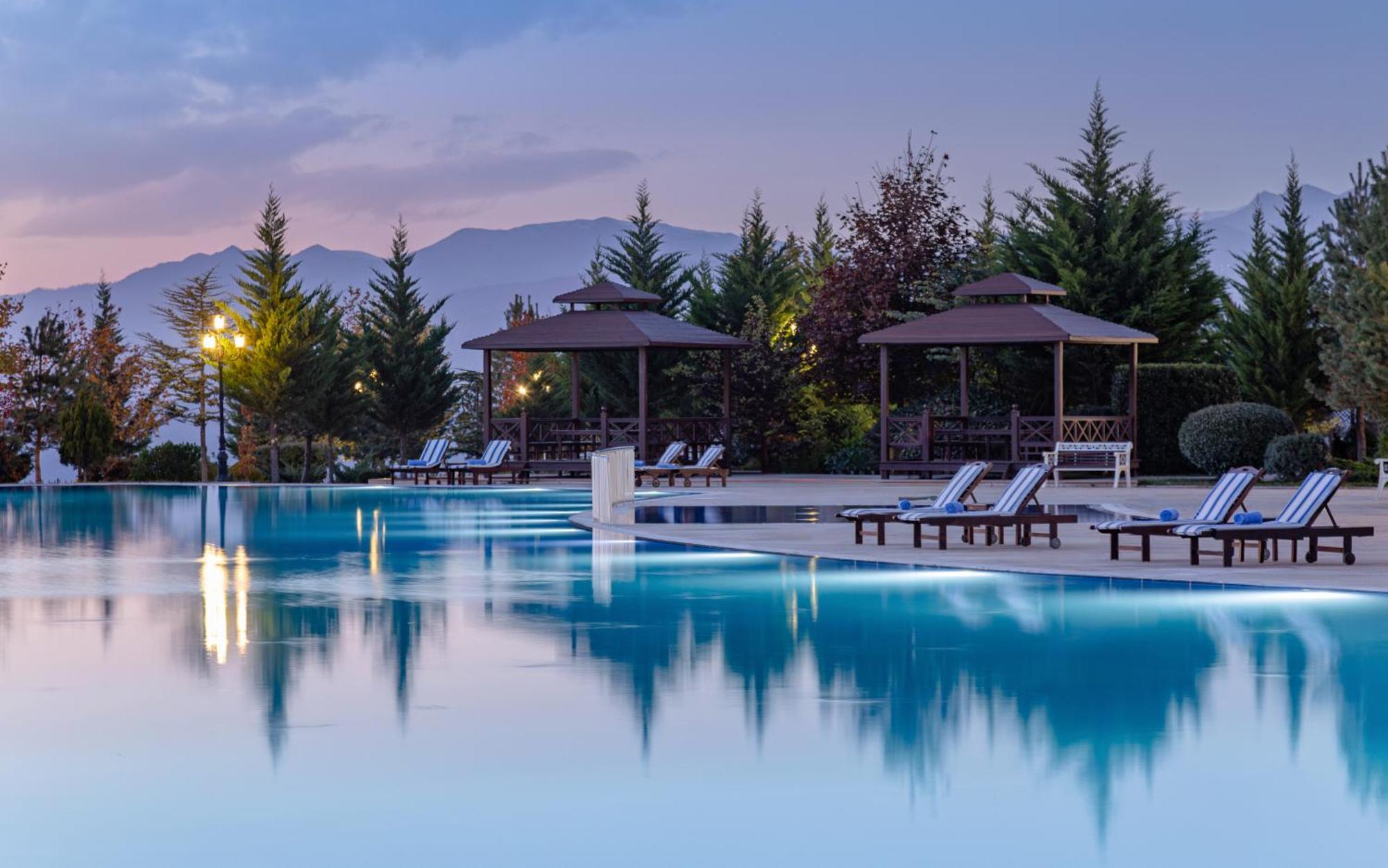 Shamakhi Palace Sharadil Seredil Exterior foto The swimming pool at the hotel