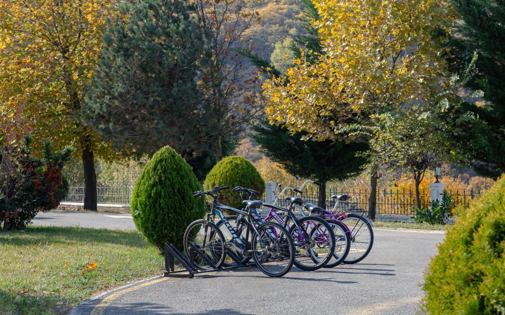 Shamakhi Palace Sharadil Seredil Exterior foto Bicycles parked at the entrance of the park